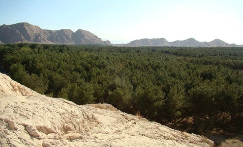 واگذاری دو پارک جنگلی به بخش خصوصی در خراسان شمالی/
وجود ۵۰۰۰ هکتار جنگل دست کاشت در استان واگذاری دو پارک جنگلی به بخش خصوصی در خراسان شمالی/
وجود ۵۰۰۰ هکتار جنگل دست کاشت در استان