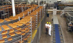 نیاز هر شهرستان خراسان شمالی به یک مجتمع نان صنعتی
