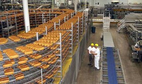 پیش‌بینی افزایش تولید بیش از ۱۵۰ تن نان صنعتی در خراسان رضوی