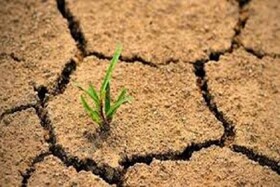 سالانه ۱۷.۵ تن خاک در هکتار در خراسان شمالی از دست می رود