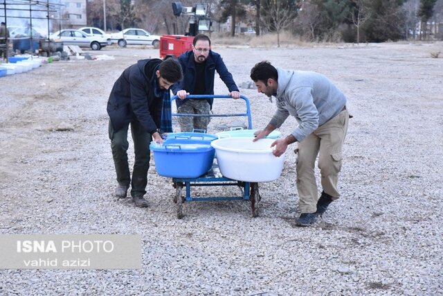 نذر سردار دلها