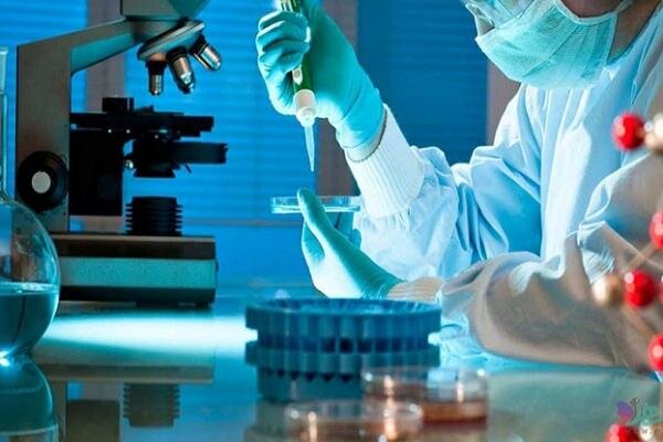 معاینه بیش از ۱۷ هزار نفر در پزشکی قانونی خراسان شمالی طی امسال معاینه بیش از ۱۷ هزار نفر در پزشکی قانونی خراسان شمالی طی امسال