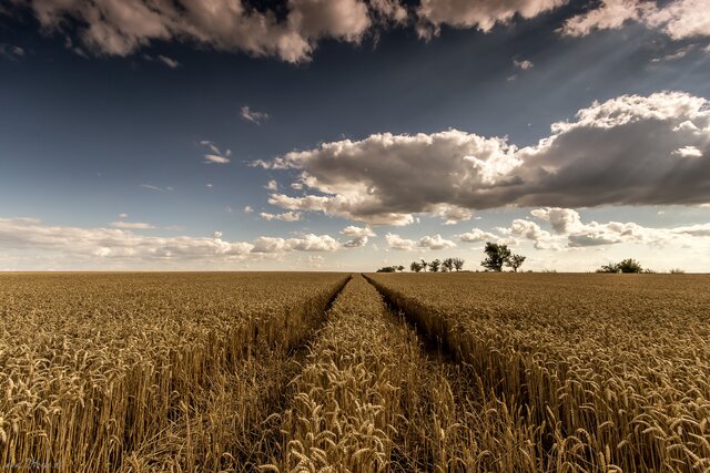 کاهش ۱۴ درجه ای دمای هوای خراسان شمالی تا اواسط هفته جاری