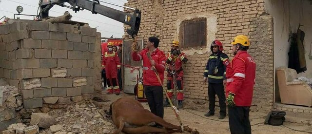 سقوط اسب بداقبال در چاه فاضلابی در بجنورد