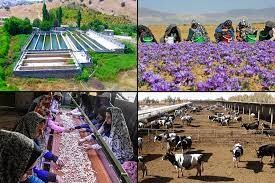 ایجاد بیش از ۶۰۰۰ اشتغال در حوزه کشاورزی خراسان شمالی با اجرای طرح های پایدار روستایی و عشایری