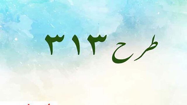 کمک ۱۶۸ میلیون تومانی به نیازمندان خراسان شمالی با اجرای طرح ۳۱۳