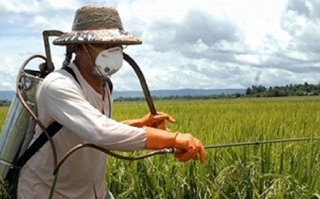 چرا علفهای هرز در کشاورزی، ۴ برابر سمجتر از قبل شدهاند؟