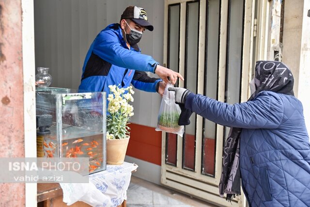 چند قدم در بازار شب عید بجنورد