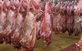 افزایش قیمت گوشت دام سنگین در خراسان شمالی