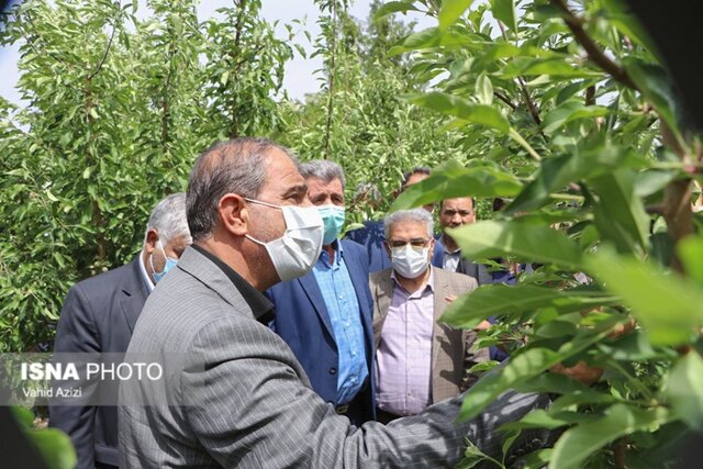 سفر رئیس کمیسیون کشاورزی مجلس و معاونین وزارت جهادکشاورزی به اسفراین در خراسان شمالی