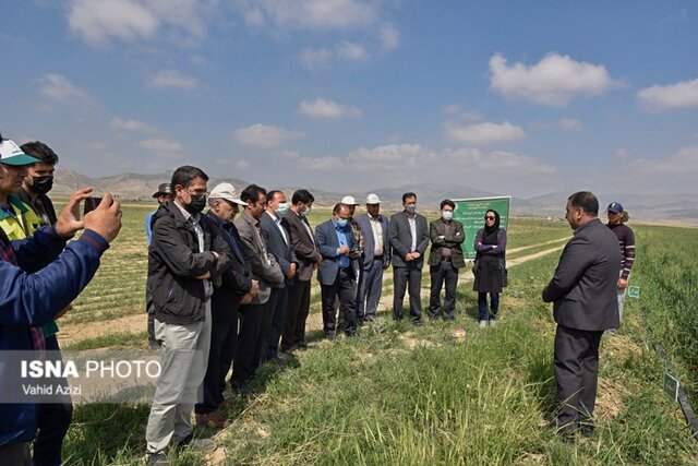 سفر مجری طرح خودکفایی گندم وزارت جهاد کشاورزی به خراسان شمالی