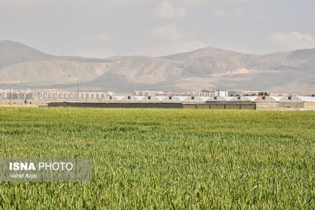 سفر مجری طرح خودکفایی گندم وزارت جهاد کشاورزی به خراسان شمالی