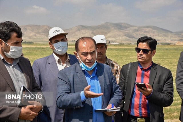 سفر مجری طرح خودکفایی گندم وزارت جهاد کشاورزی به خراسان شمالی