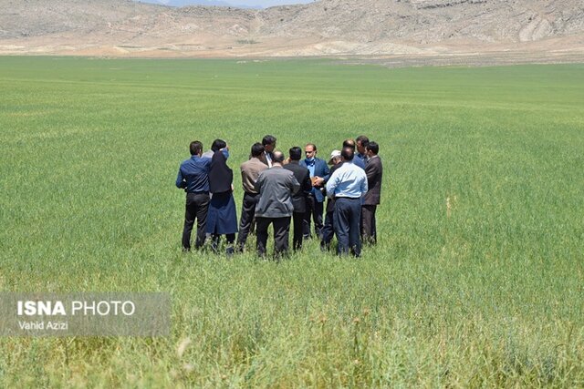 سفر مجری طرح خودکفایی گندم وزارت جهاد کشاورزی به خراسان شمالی
