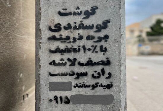بروز بیماری تب کریمه کنگو با خرید گوشت از مراکز غیرمجاز 