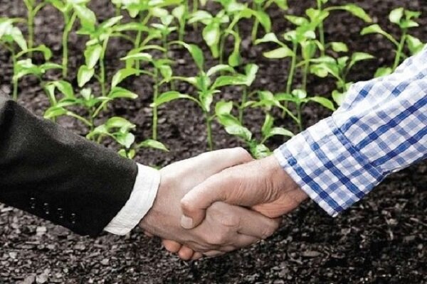 کشت قراردادی ۶۷ هزار هکتار گندم در آذربایجان شرقی
کشت قراردادی ۶۷ هزار هکتار گندم در آذربایجان شرقی