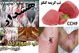 عدم مشاهده بیماری تب کریمه کنگو در خراسان شمالی