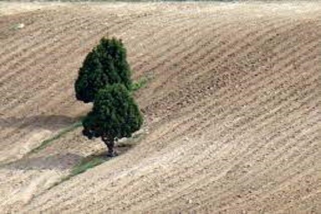 /گزارش/
فرسایش؛ ربایشِ آسایش خاک