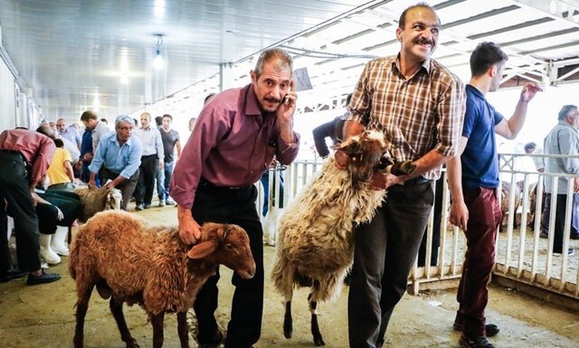 ذبح دام قربانی برای متقاضیان فاروج هزینه ندارد