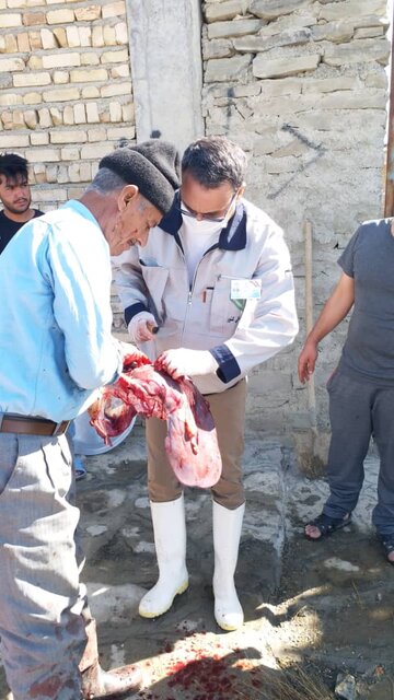 نظارت بر روی ۶۹۳ لاشه قربانی در عید سعید قربان در شهرستان راز و جرگلان