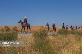 کاروان اسب سواران خراسان شمالی در راه حرم مقدس امام رضا(ع)