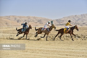 کورس پاییزه اسبدوانی اسب اصیل ترکمن