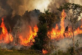 هشدار منابع طبیعی خراسان شمالی نسبت به بروز آتش‌سوزی در مراتع و جنگل ها با گرم شدن هوا