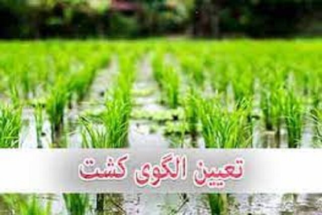 تدوین الگوی کشت برای ارسنجان را در برنامه داریم تدوین الگوی کشت برای ارسنجان را در برنامه داریم