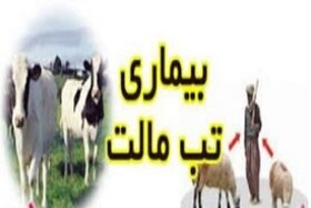 ابتلای بیش از ۴۰ نفر به تب مالت در روستای«رودریش» کهگیلویه