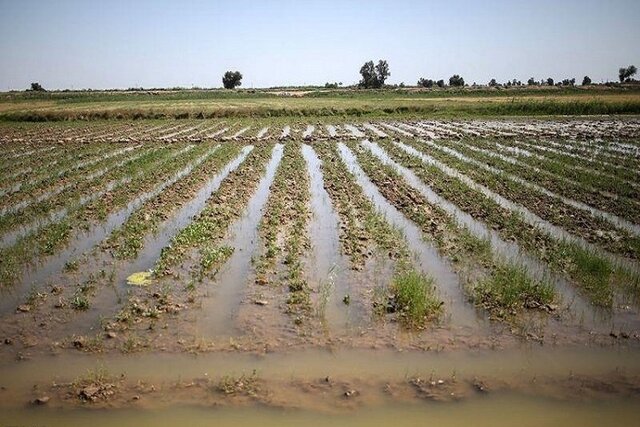 سیل؛ آب خطرآفرین برای کشاورزی خراسان شمالی