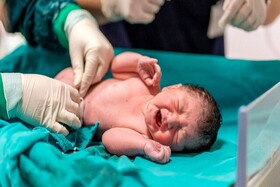 افزایش ۱.۴ درصدی میزان تولد در خراسان شمالی طی امسال