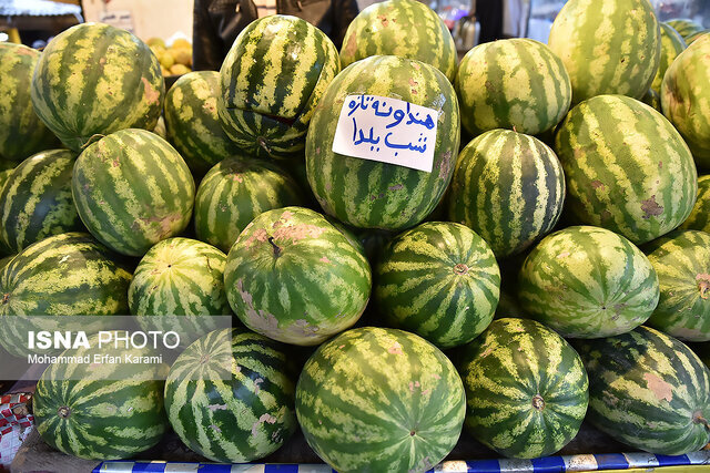 توزیع ۱۵۰ تن هندوانه شب یلدا در بازار خراسان شمالی توزیع ۱۵۰ تن هندوانه شب یلدا در بازار خراسان شمالی