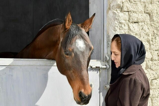 بانوی کارآفرین و قهرمان خستگی ناپذیر روزهای سخت در خراسان شمالی معرفی کارآفرین موفق در پرورش اسب ایران