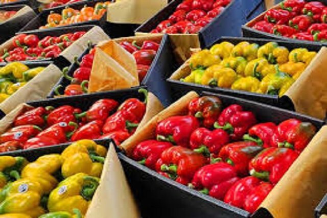 مشکل صادرکنندگان خراسان شمالی برای صادرات محصولات کشاورزی به روسیه چیست؟ مشکل صادرکنندگان خراسان شمالی برای صادرات محصولات کشاورزی به روسیه چیست؟
