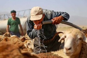 بدهی ۶ میلیارد تومانی برای آبرسانی به عشایر خراسان شمالی / سهمیه آرد کفاف عشایر را نمی‌دهد