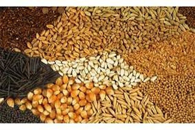 خشکسالی نیاز دامداران خراسان شمالی به نهاده دامی را افزایش داد