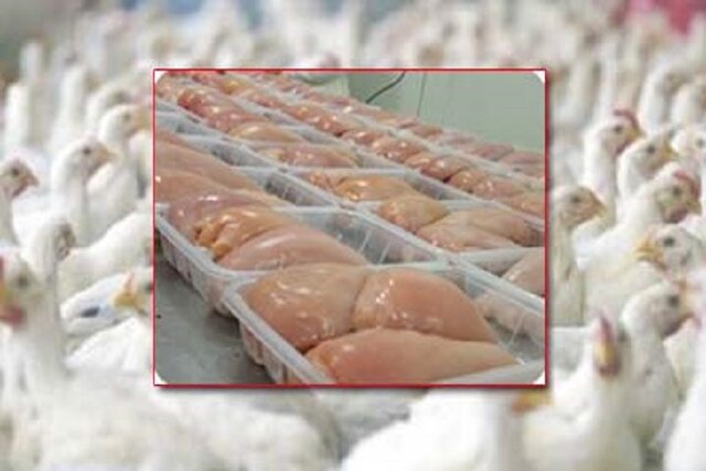 نظارت دستگاهها برای جلوگیری از انتقال گوشت مرغ به خارج از خراسان شمالی نظارت دستگاهها برای جلوگیری از انتقال گوشت مرغ به خارج از خراسان شمالی