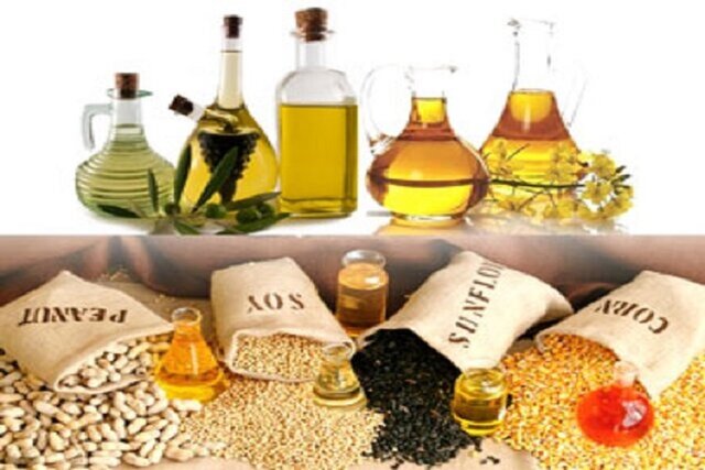 تحقق رویای خودکفایی در روغن با توسعه خودکفایی در تولید دانههای روغنی