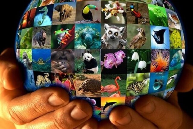 حفظ منابع ژنتیکی پویا؛ سرمایه گذاری برای تولید