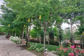 واگذاری حفظ و نگهداری قسمتی از فضای سبز بجنورد به بخش خصوصی