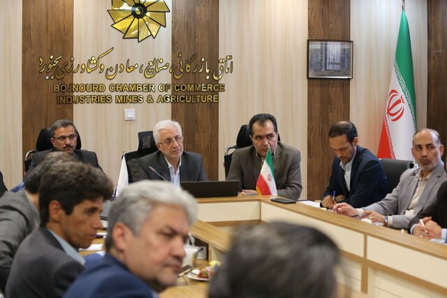 مدیران با استفاده از اختیارات قانونی مشکلات بخش خصوصی را حل کنند