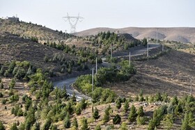 وجود ۹۷۰ هکتار کمربند سبز شهری در بجنورد