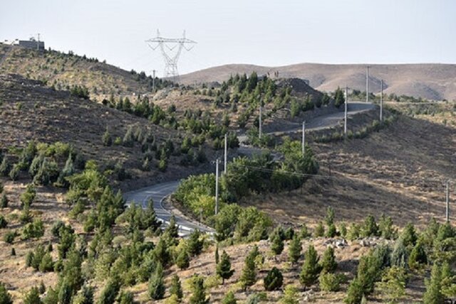 وجود ۹۷۰ هکتار کمربند سبز شهری در بجنورد