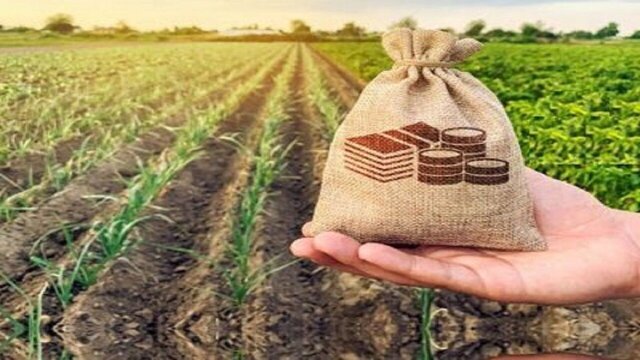 رشد ۱۷۲ درصدی پوشش بیمه‌ای محصولات استراتژیک کشاورزی در خراسان شمالی