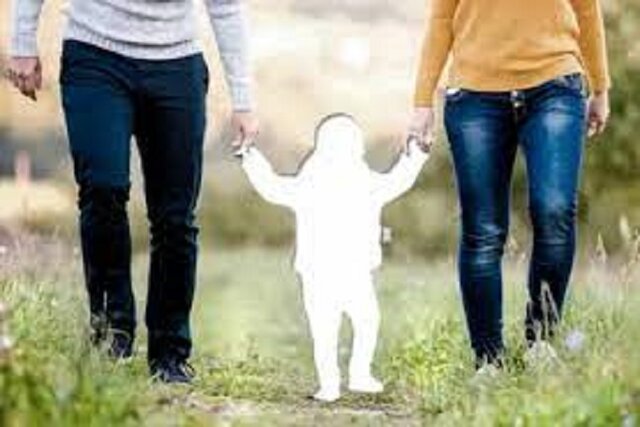 وجود بیش از ۴۳ هزار خانواده بدون فرزند در خراسان شمالی