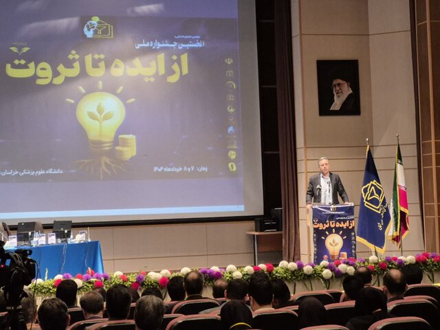 برنامه‌ریزی‌های خوبی برای تبدیل ایده به ثروت نداشته‌ایم