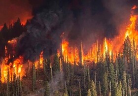 اعزام ۱۷ تیم‌ عملیاتی به جنگل گلستان برای اطفای حریق