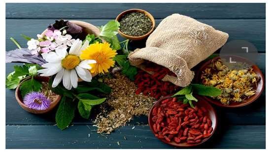 تغذیه سالم و متعادل تأثیر مستقیم بر کاهش استرس دارد