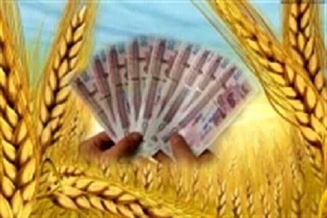 یک سوم مطالبات گندمکاران خراسان شمالی پرداخت شد