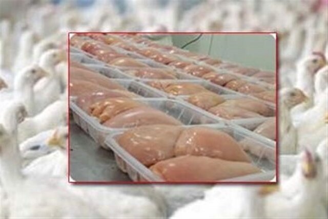 آمادگی خراسان شمالی برای صادرات گوشت مرغ به خارج از کشور